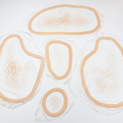 Pack prótesis FX de escamas faciales