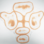 Set de Prótesis de Envejecimiento Facial FX