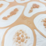 Kit 003 Prótesis de Imperfecciones y Relieves Cutáneos FX - Imagen 3