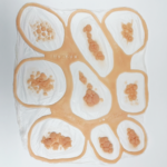 Kit 003 Prótesis de Imperfecciones y Relieves Cutáneos FX