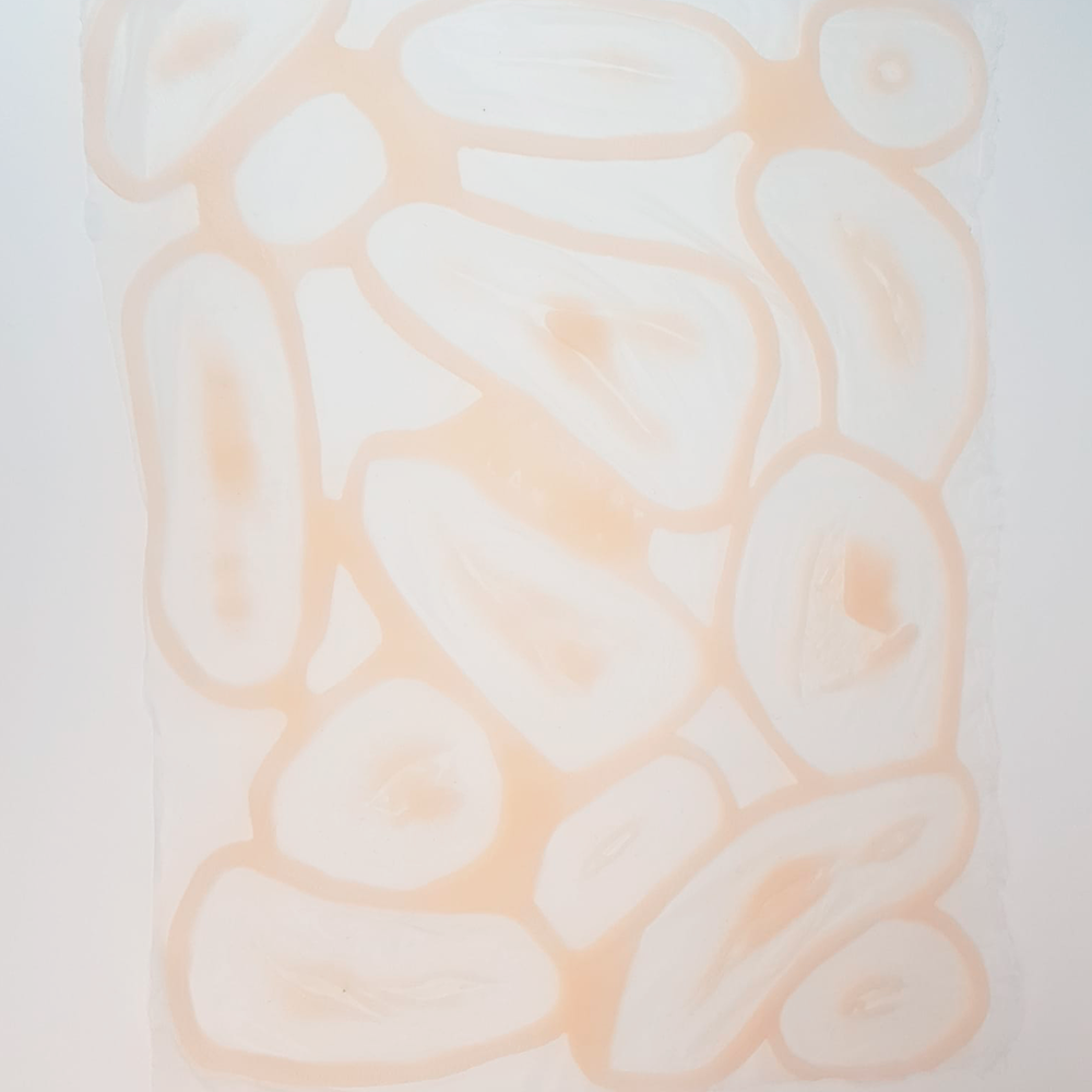 protesis-lam001-1 Kit Heridas 001 - Protesis FX Silicona - Imagen 1